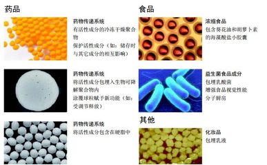 国内自主研发微胶囊造粒仪 技术突破与质量超越国外食品研发新境界